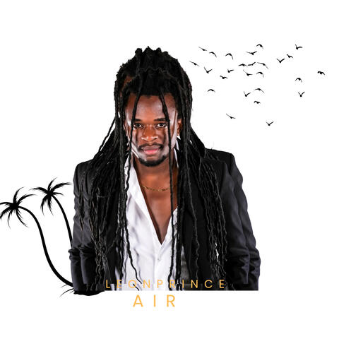 Air album art
