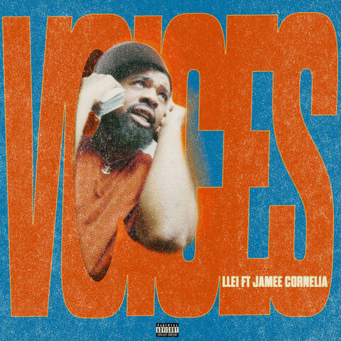 Voices album art