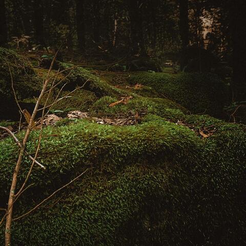 Sacred Space album art