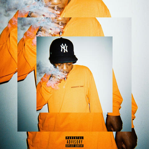 indica/sativa. pt.2 album art