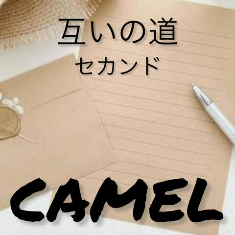 互いの道　セカンド album art