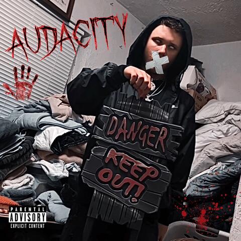 Audacity album art