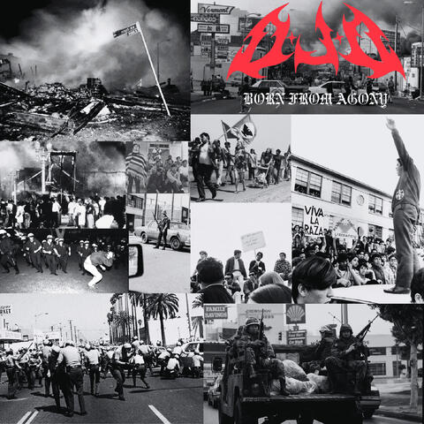 Born From Agony album art