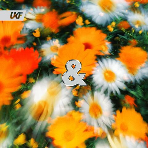 Peace of Mind album art