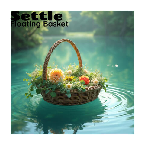 Settle album art