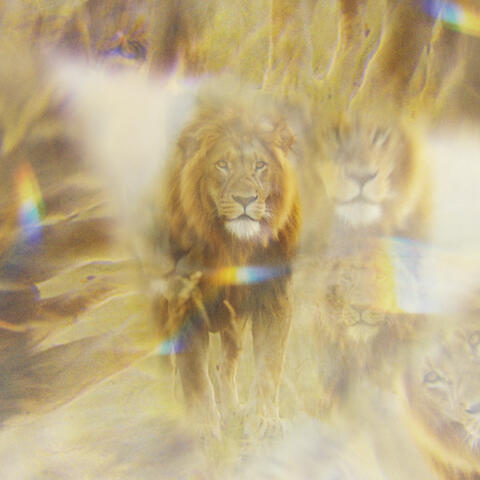 Jesus Song album art