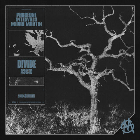 DIVIDE album art