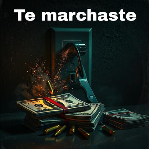 Te marchaste album art