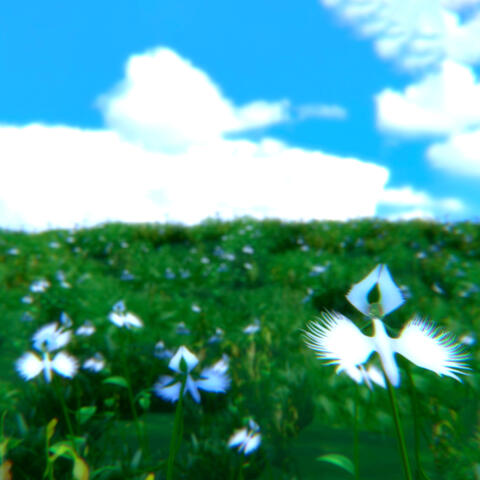 Bloom album art
