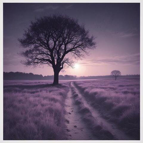Tell Me a Lie album art