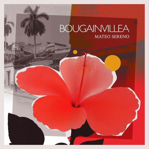 Bougainvillea album art