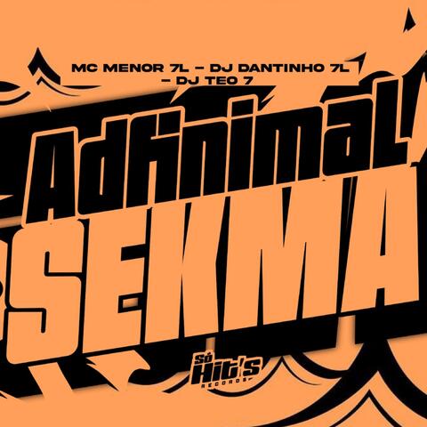 ADFINIMAL SEKMA album art