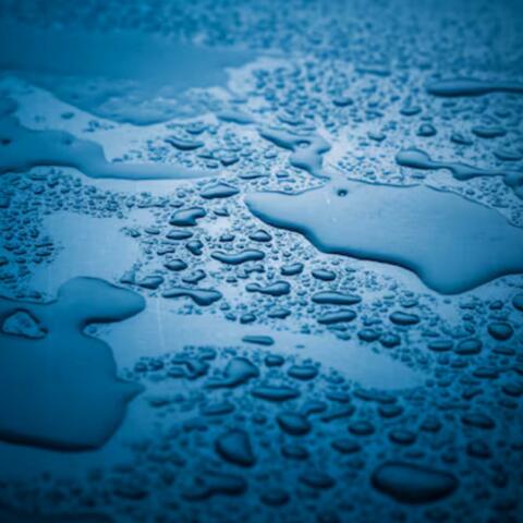 Wet album art