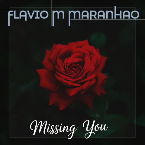 Missing You album art