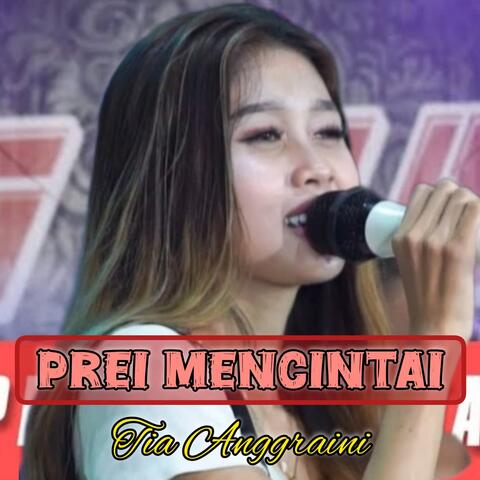 Prei Mencintai album art