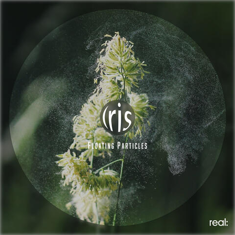 Floating Particles album art