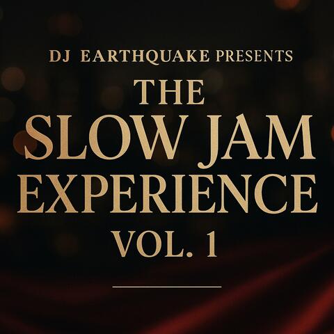 THE SLOW JAM EXPERIENCE VOL 1 album art