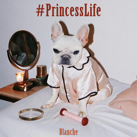 #PrincessLife album art