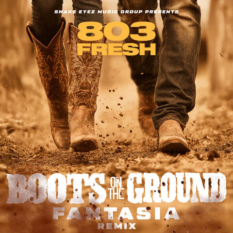 Boots On The Ground Remix album art