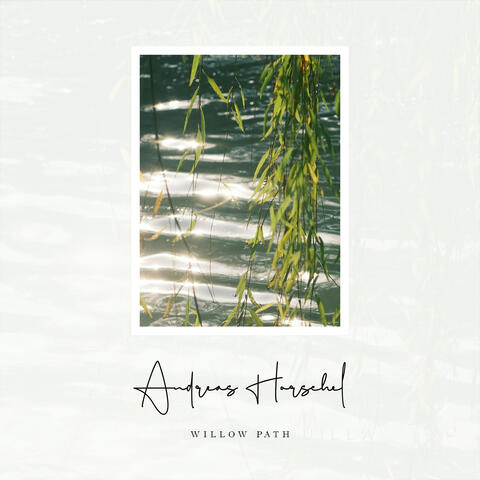 Willow Path album art