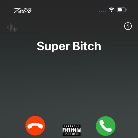 Super Bitch album art