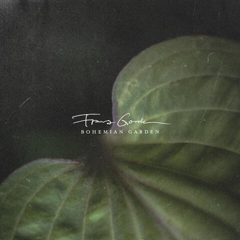 Bohemian Garden album art