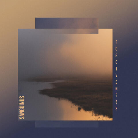 Forgiveness album art