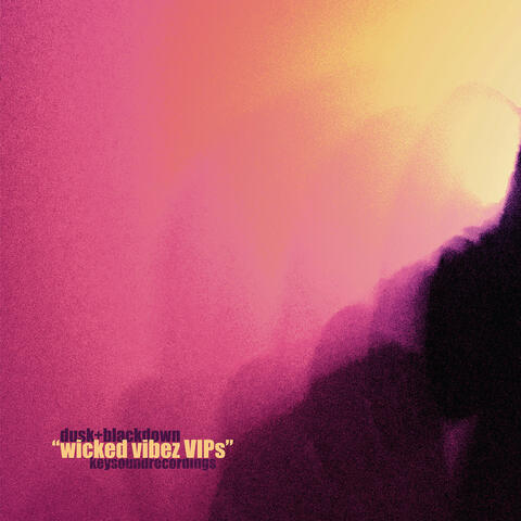 Wicked Vibez album art