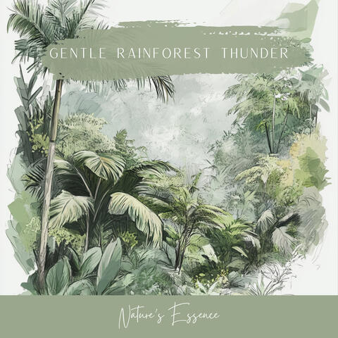 Gentle Rainforest album art