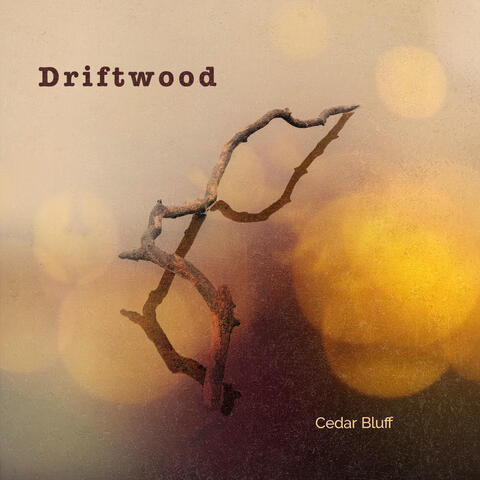 Driftwood album art
