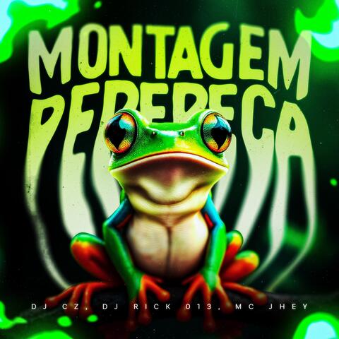 MONTAGEM PERERECA album art