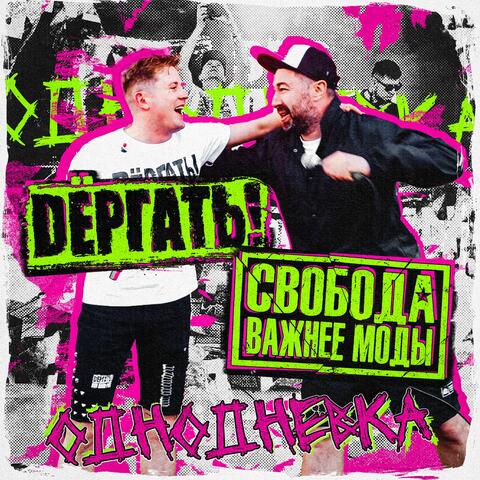 Однодневка album art