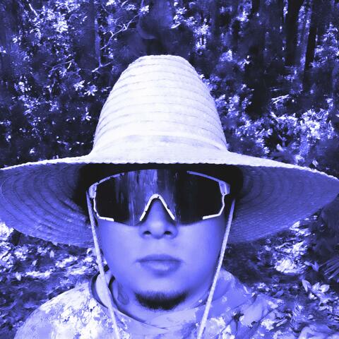 LAWN album art