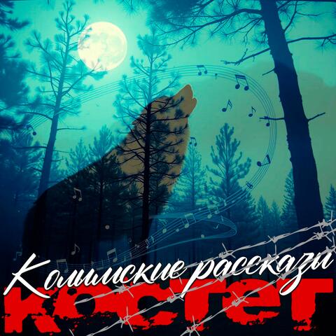 Колымские рассказы album art