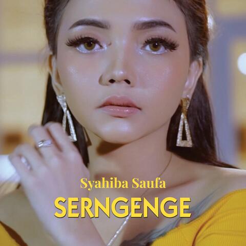 Serngenge album art