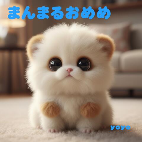 まんまるおめめ album art