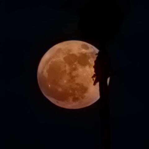 Ghost Gloc album art