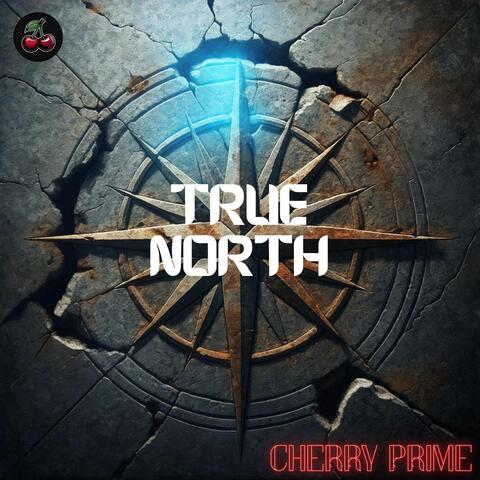 True North album art