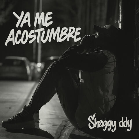 Ya Me Acostumbre album art