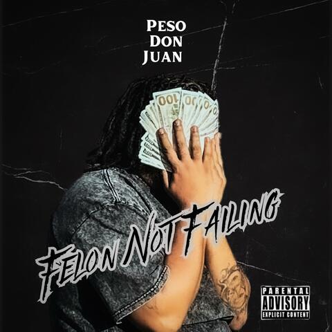 Felon Not Failing album art