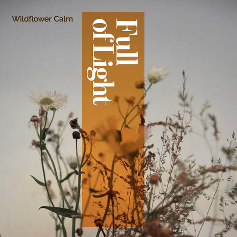 Full of Light album art