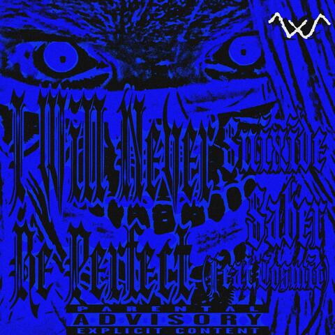 I Will Never Be Perfect album art