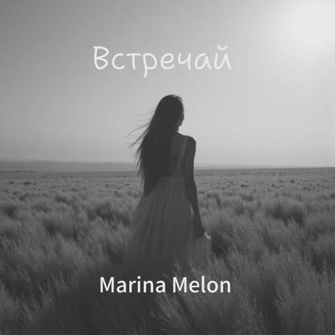 Встречай album art