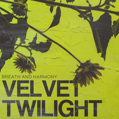 Velvet Twilight album art