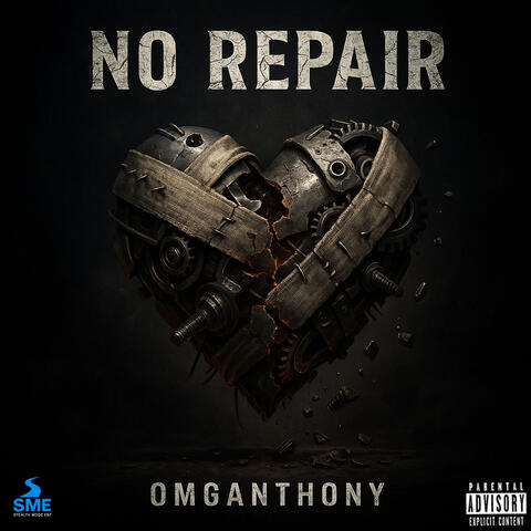 No Repair album art