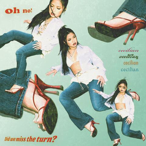 Oh No! Did We Miss The Turn? album art