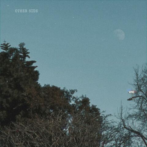 OTHER $IDE album art