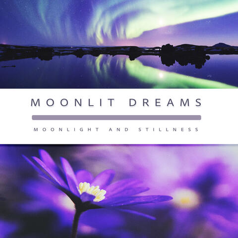 Moonlit Dreams album art