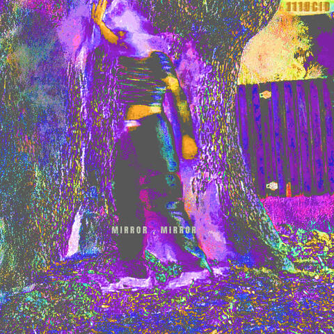 mirror, mirror album art