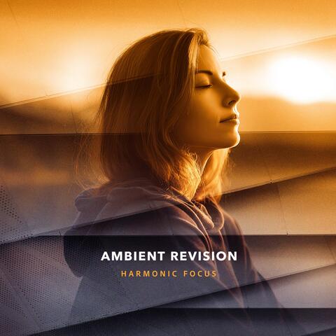 Ambient Revision album art